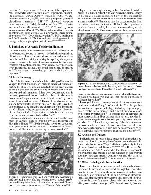 Texas Journal of Microscopy - Texas Society for Microscopy