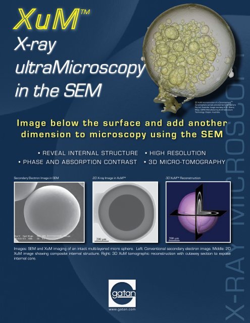 Texas Journal of Microscopy - Texas Society for Microscopy