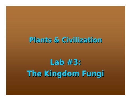 Lab #3: The Kingdom Fungi