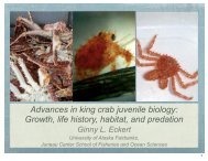 Advances in king crab juvenile biology - Alaska Sea Grant College ...