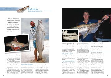 Mulloway - Fishing Lessons