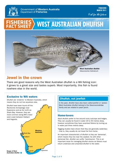 West Australian Dhufish Fact Sheet - Department of Fisheries