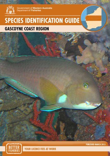 Species Identification Guide - Gascoyne Coast Region