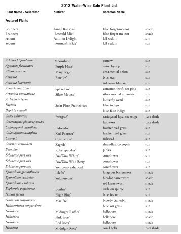 water-wise perennials