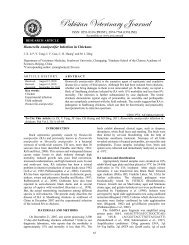 Riemerella Anatipestifer Infection in Chickens