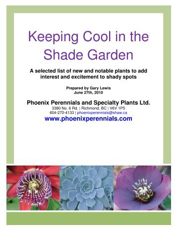 Keeping Cool in the Shade Garden - Phoenix Perennials