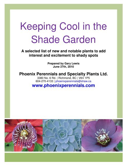 Keeping Cool in the Shade Garden - Phoenix Perennials