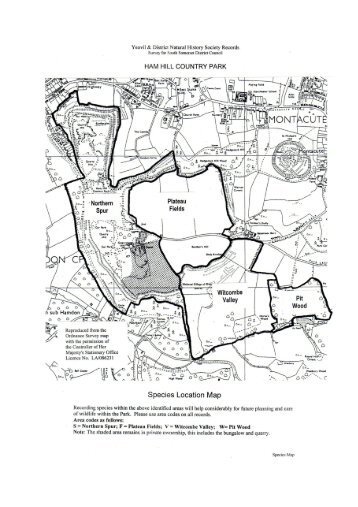 Survey of species in the HAM HILL COUNTRY PARK