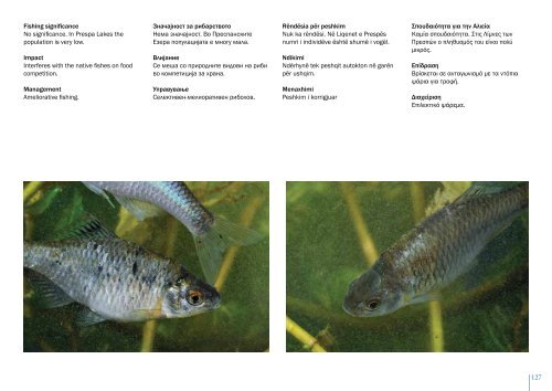 3 Fish biology and anatomy Биологија и анатомија на ... - UNDP