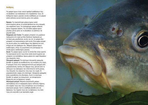 3 Fish biology and anatomy Биологија и анатомија на ... - UNDP