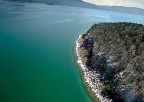 3 Fish biology and anatomy Биологија и анатомија на ... - UNDP