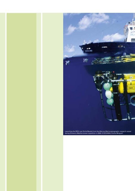 Download "Seamounts of the Balearic Islands | 2010" - Oceana