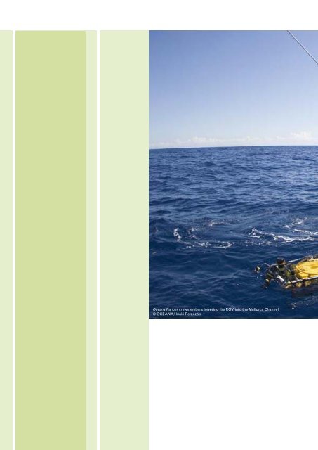 Download "Seamounts of the Balearic Islands | 2010" - Oceana