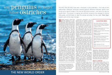Why Penguins no longer follow Ostriches: the new