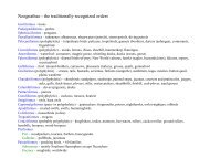 Classification 3: traditional, Gruiformes to Columbiformes pdf