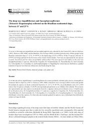Zootaxa, The deep-sea Anguilliformes and ... - Magnolia Press