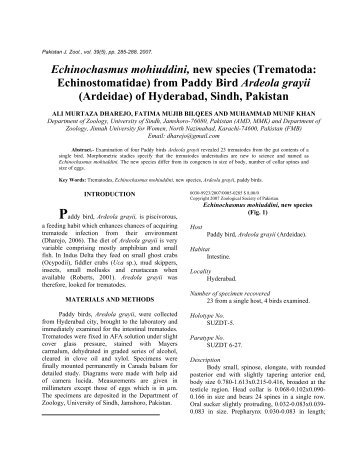 Echinochasmus mohiuddini new species - Zoological Society Of ...