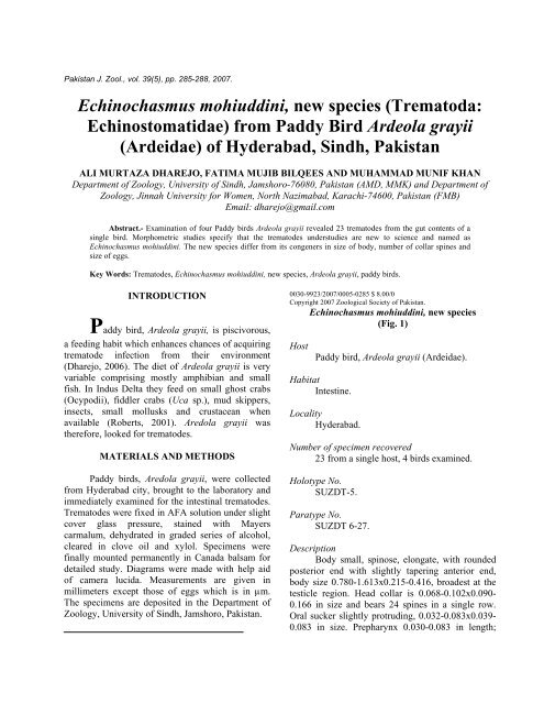 Echinochasmus mohiuddini new species - Zoological Society Of ...