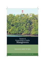 Mangrove booklet aw.FH10 - Zoological Survey of India