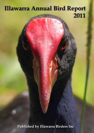 2011 - Illawarra Birders