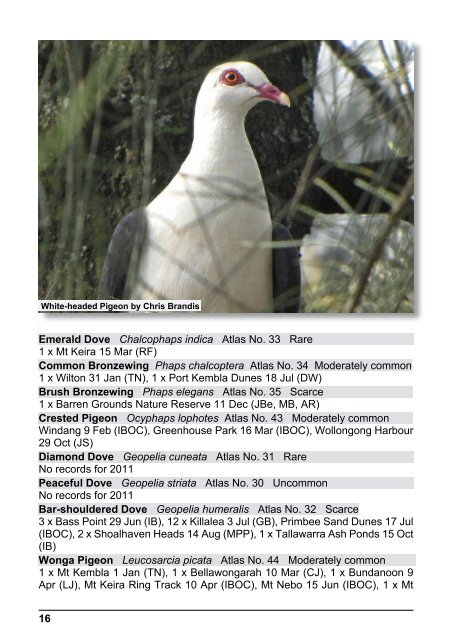 2011 - Illawarra Birders