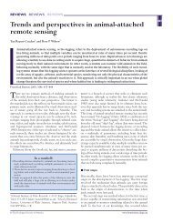 Trends and perspectives in animal-attached remote sensing