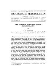 ZOOLOGISCHE MEDEDELINGEN - redmic