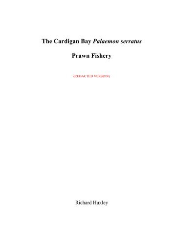 The Cardigan Bay Palaemon serratus Prawn Fishery - Coastal and ...