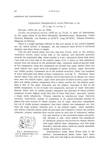 the echinoid fauna from japan and adjacent regions part i