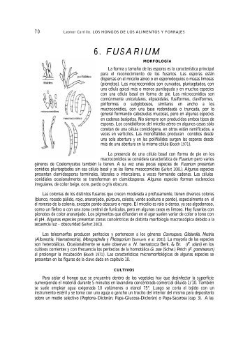 6. FUSARIUM