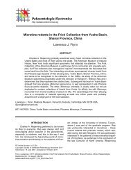 Print article - Palaeontologia Electronica