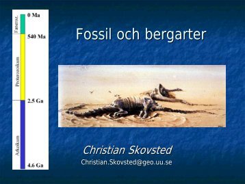 Fossil och bergarter