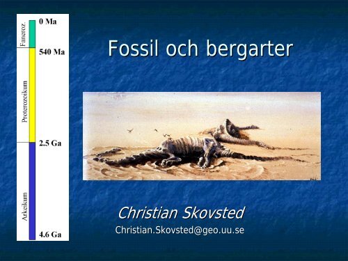 Fossil och bergarter