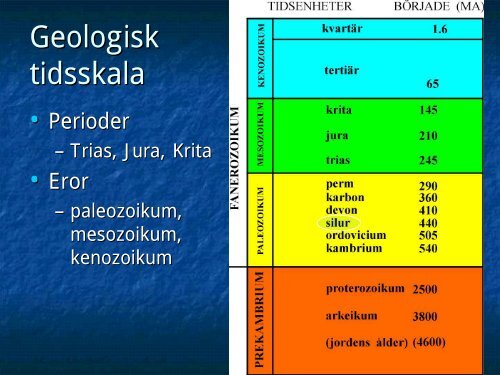 fossiler och relativ datering