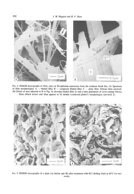 Field emission scanning electron microscopy a high-resolution ...