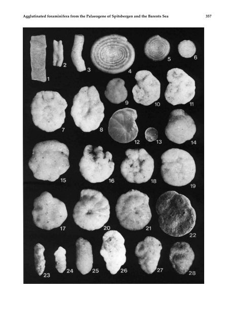 Agglutinated foraminifera from neritic to bathyal facies in the ...