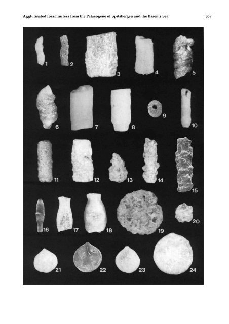 Agglutinated foraminifera from neritic to bathyal facies in the ...