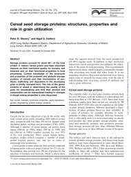 Cereal seed storage proteins: structures, properties and role in grain ...