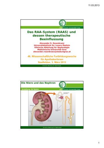 Das RAA-System (RAAS) und dessen therapeutische Beeinflussung