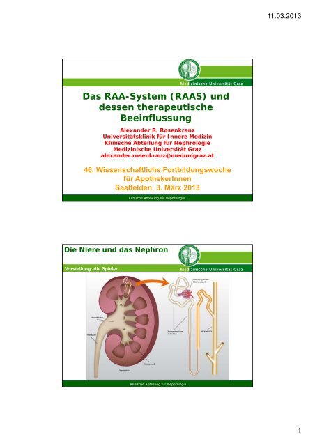 Das RAA-System (RAAS) und dessen therapeutische Beeinflussung