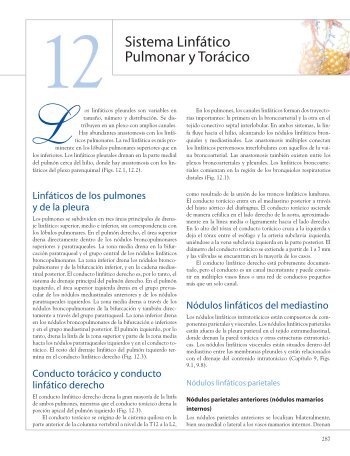 Sistema Linfático Pulmonar y Torácico - Iguana Design 2007