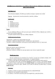 3-Unidad2-Membranas_Piel.pdf