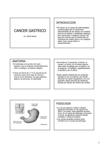 CANCER GASTRICO