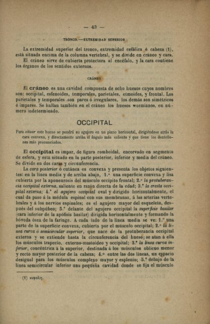 los órganos de los sentidos externos. son: occipital, esfenoides ...