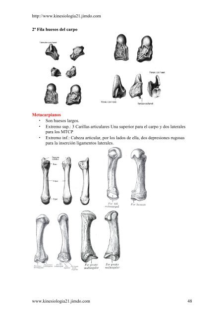 (Osteología) de Juan Pedro Gálvez