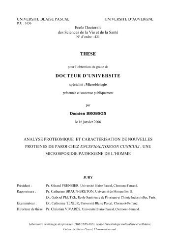 THESE DOCTEUR D'UNIVERSITE - TEL