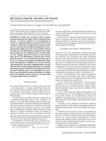 Rectocele repair: Review and update - Lebanese Medical Journal