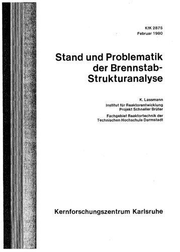 Stand und Problematik der Brennstab- Strukturanalyse