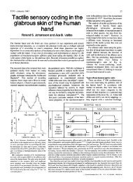 Tactile sensory coding in the glabrous skin of the human hand