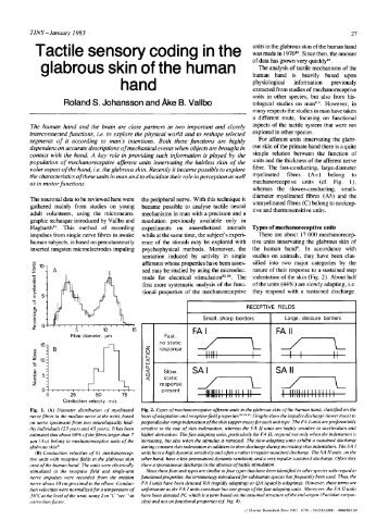 Tactile sensory coding in the glabrous skin of the human hand